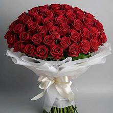 Букет 101 Красная роза Блэк Мэджик в Поселок Лесхоза