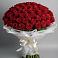 Букет 101 Красная роза Блэк Мэджик в Поселок Лесхоза