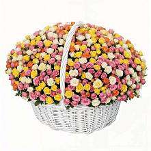 Премиум букет из: Розы в Поселок Лесхоза