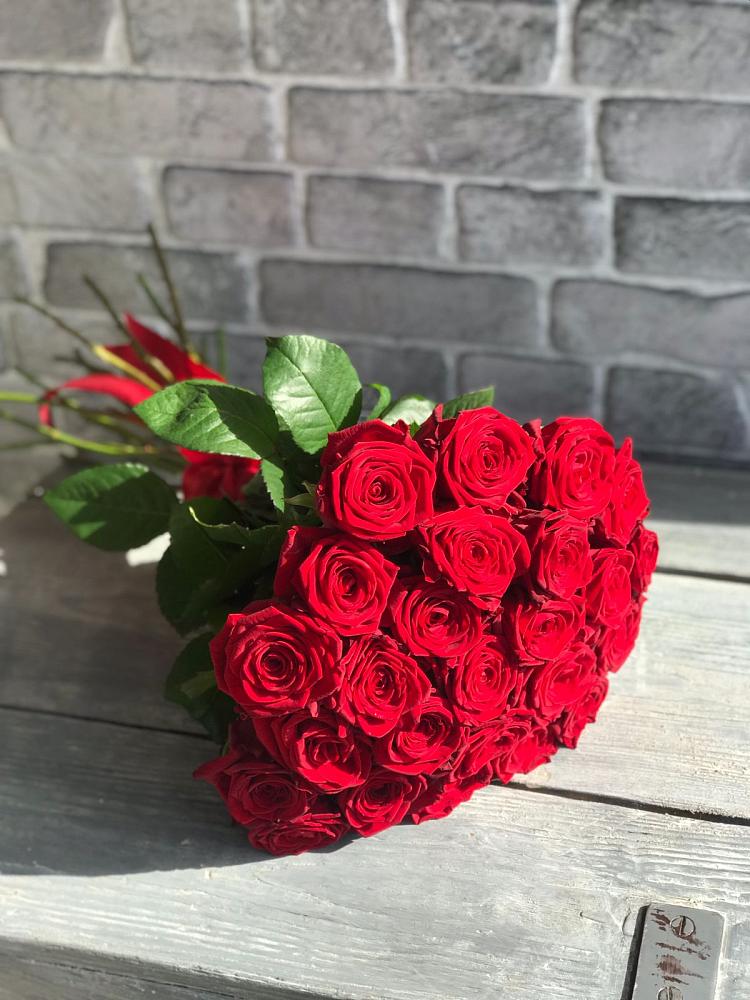 Букет Красные розы Фридом в Поселок Лесхоза
