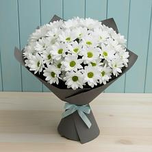 Букет цветов из:  Хризантемы в Поселок Лесхоза