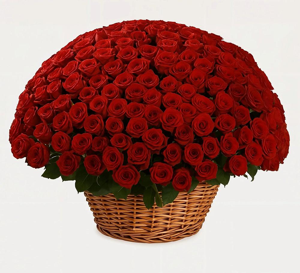 Премиум букет из: Розы в Поселок Лесхоза