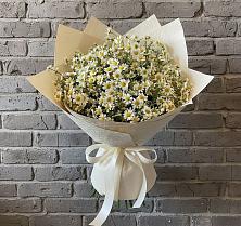 Букет цветов из:  Ромашки в Поселок Лесхоза