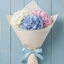 Букет цветов из:  Гортензия в Поселок Лесхоза