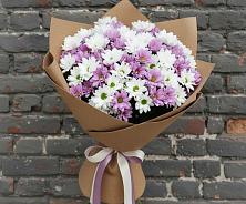 Букет цветов из:  Хризантемы в Поселок Лесхоза