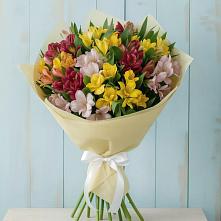 Букет цветов из:  Альстромерии в Поселок Лесхоза