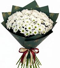 Букет цветов из:  Хризантемы в Поселок Лесхоза