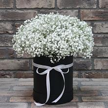 Цветочная композиция из Гипсофила в шляпной коробке #REPLACE_PRED# Поселок Лесхоза