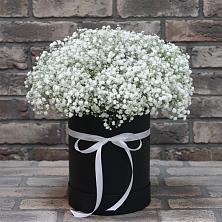 Цветочная композиция из Гипсофила в шляпной коробке в Поселок Лесхоза