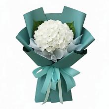 Букет цветов из:  Гортензия в Поселок Лесхоза